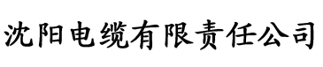 小姑子的味道电缆厂logo